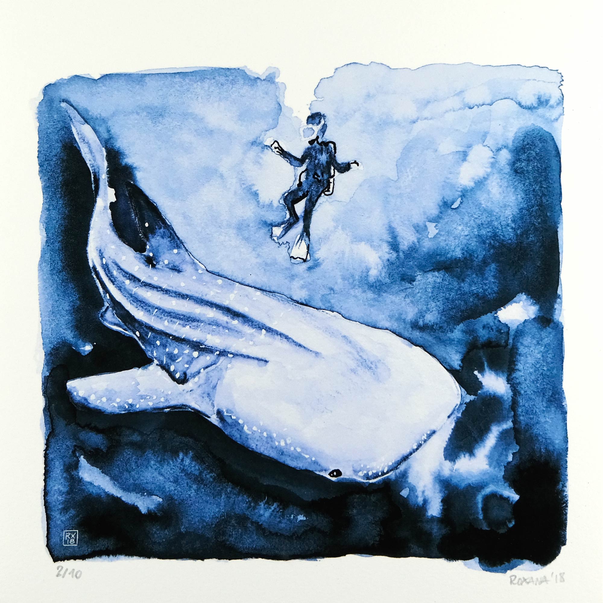 Walhai mit Taucher (Kunstdruck)
