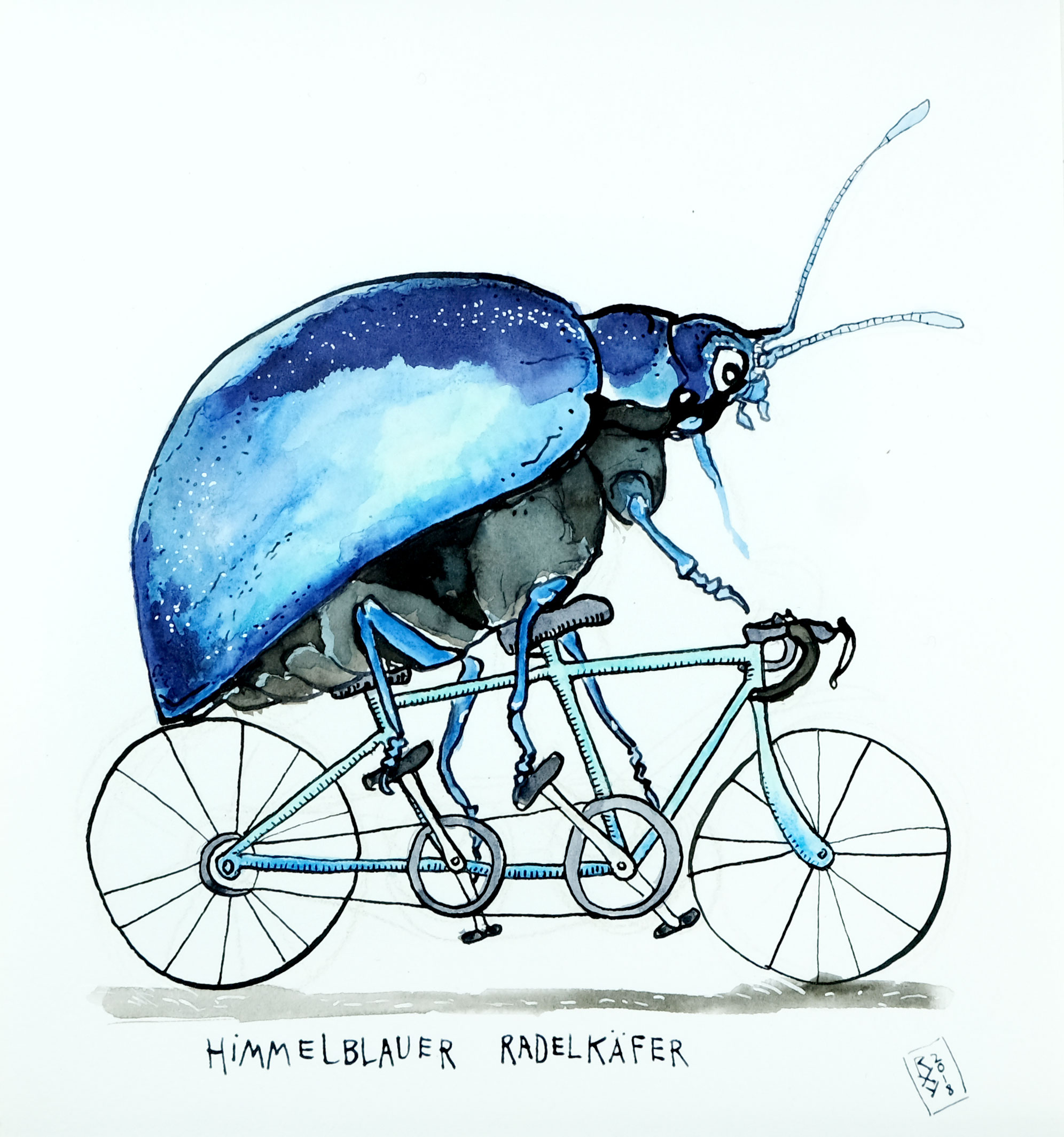 Cycling beetle in sky blue