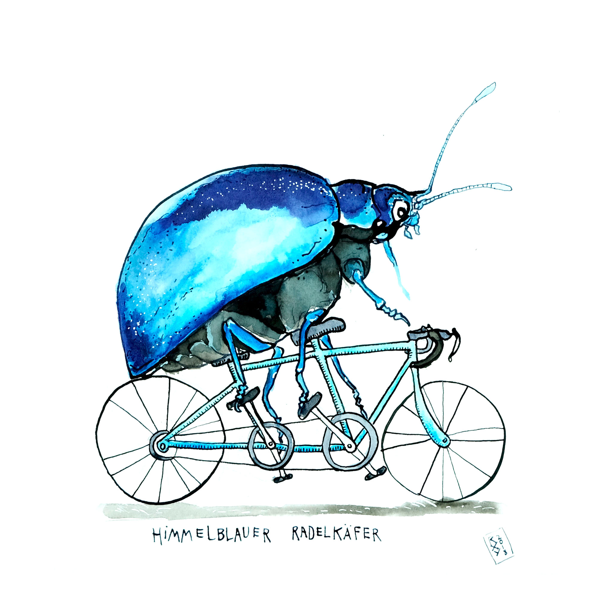 Cycling beetle in sky blue (fine art print)