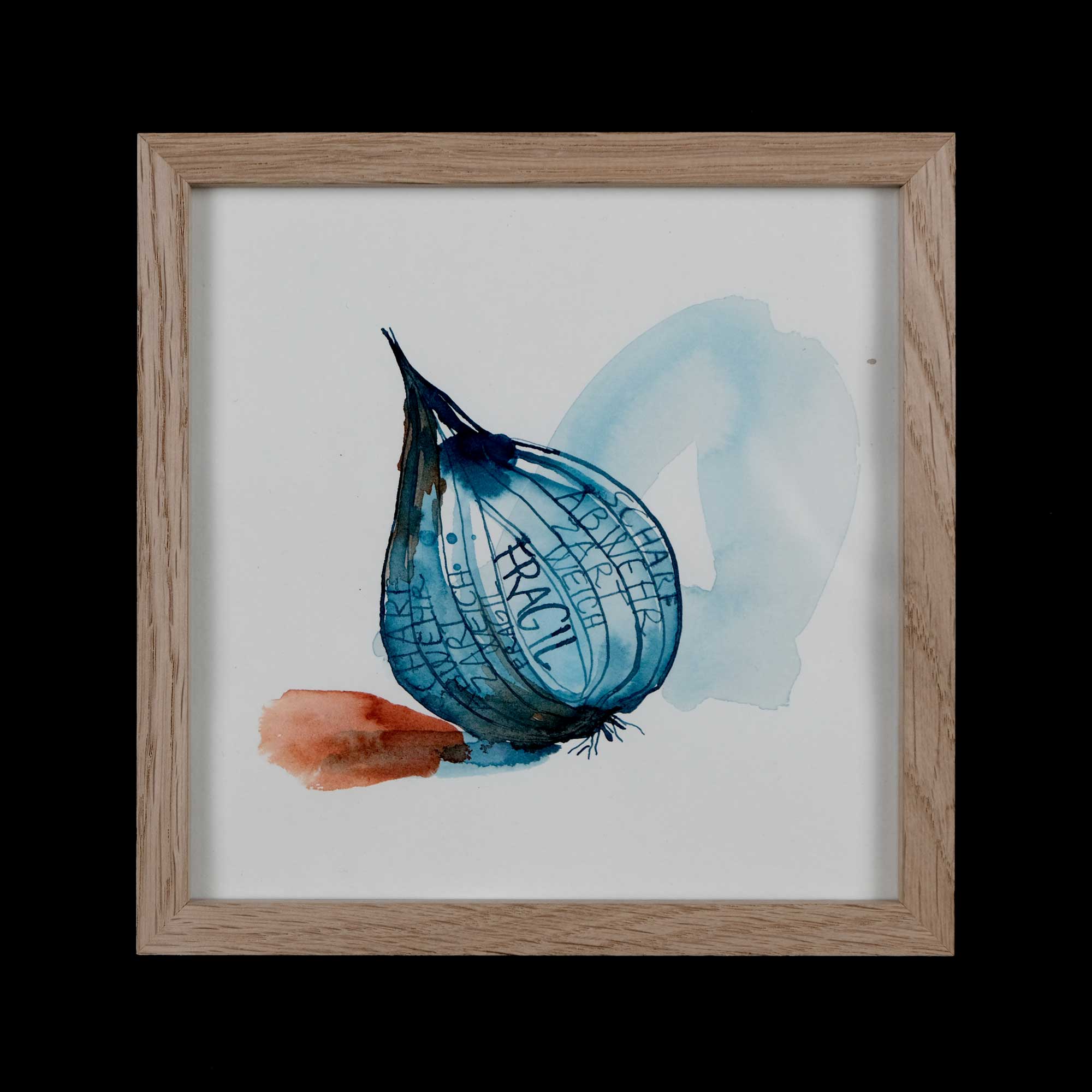 N° 27.25 / Onion (Zwiebel)