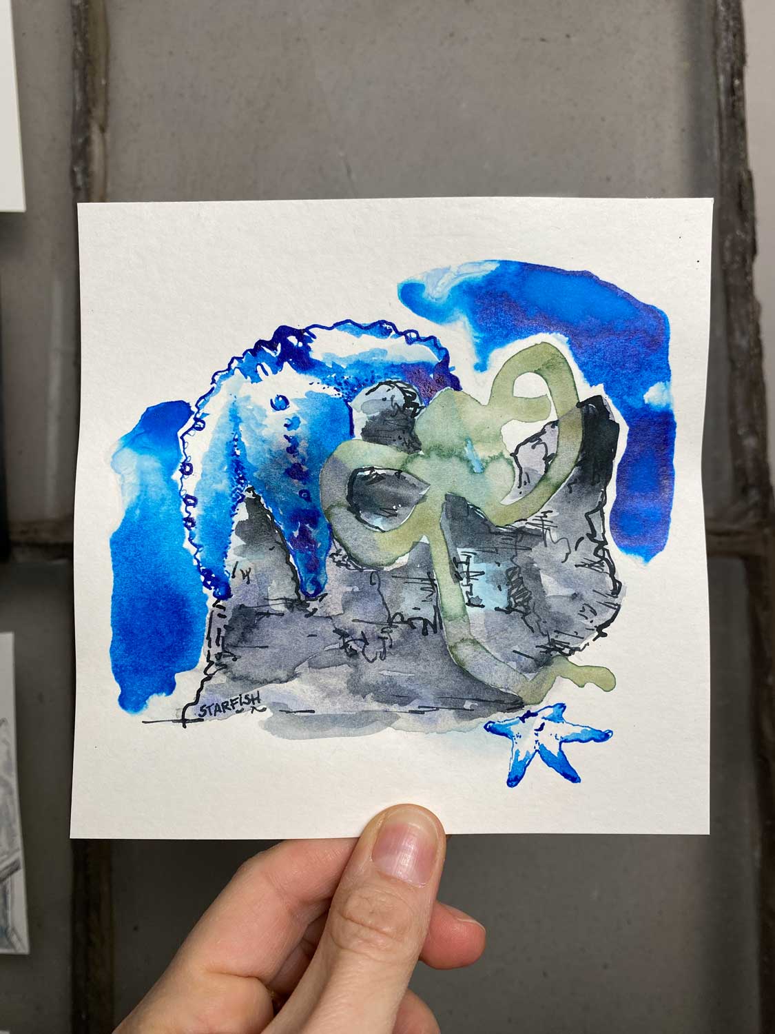 N° 07.25 / Starfish (Seestern)